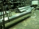 tubo rotondo dell'acciaio inossidabile 201 304 316L luminoso/lucidatura 400# di superficie, tubo lucidato, del quadrato dell'acciaio inossidabile rivestimento NO.4