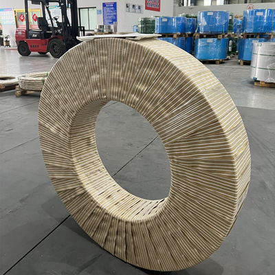 SUS 301 CSP-H Full Hard Stainless Steel Coil Strip 0,1-3,0 mm con bordo a fessura