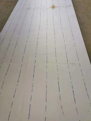 UNS N10276 Placca in lega di Hastelloy C-276